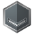 Level 1