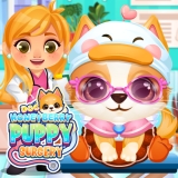 ¡Doc HoneyBerry: Cirugía de Perritos!