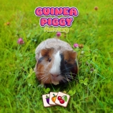 ¡Guinea Piggy Matching: El Juego de Puzzles Más Tierno!