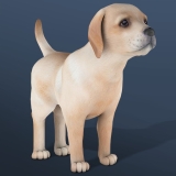 IDLE Pet — Анатомический кликер